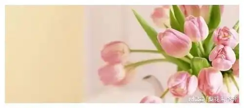 搞笑gif图片笑话段子大龄29岁单身女,老妈天天逼我去相亲
