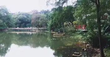 景美人少不花钱又好玩,南宁这个公园,森林中竟藏着一片小沙漠
