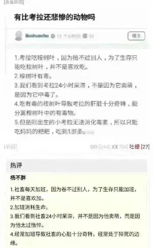 经常迟到的我在办公桌上看见一个碗,这是暗示我什么
