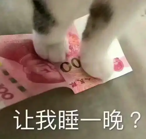 有没有很污的动漫女生表情包
