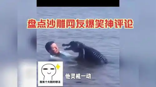 盘点沙雕网友爆笑神评论,自古评论区出人才,真是笑不活了
