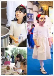 派对好奢华陆毅为贝儿庆生现场如童话世界
