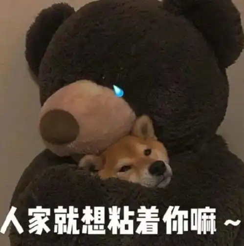 你有哪些让人笑得停不下来的搞笑图片九
