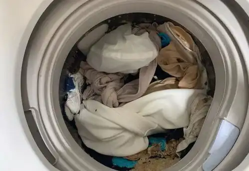 当你的浴室开了暖气,瞬间就会长猫
