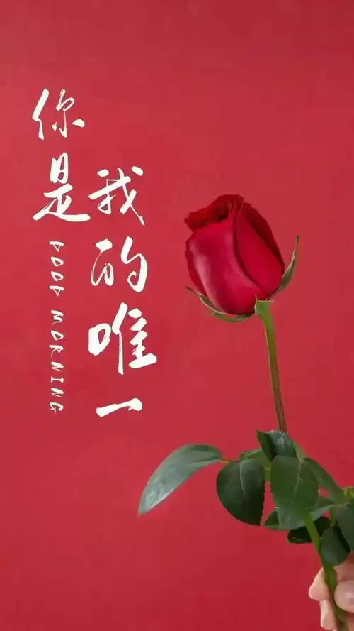 20232.14情人节暖心祝福语,情人节祝福语文案精美配图
