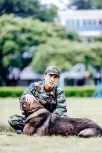 奇兵神犬警犬护理课趣味上线沙溢爆笑模仿张大大
