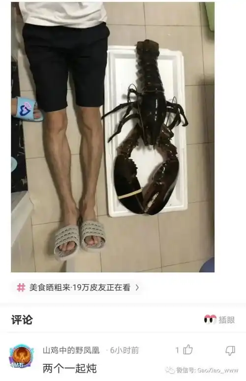 搞笑图片入职第一天就骗人了
