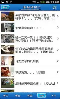 搞笑囧图app下载搞笑囧图手机版下载v2.4.4安卓版当易网
