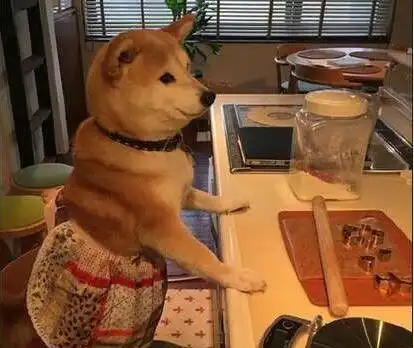 搞笑趣图是什么让妹子如此激动
