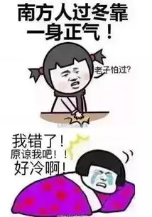 加绒拖hai短袖羽绒广东人能不能尊重一下冬天
