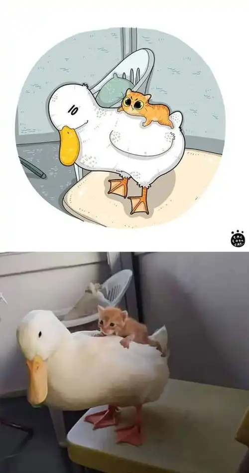 网红猫咪的照片被画成了漫画,神级还原之后,更搞笑了
