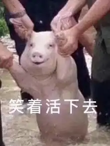 曾经的猪肉你爱答不理,今天的猪肉你高攀不起,实现猪肉自由了吗
