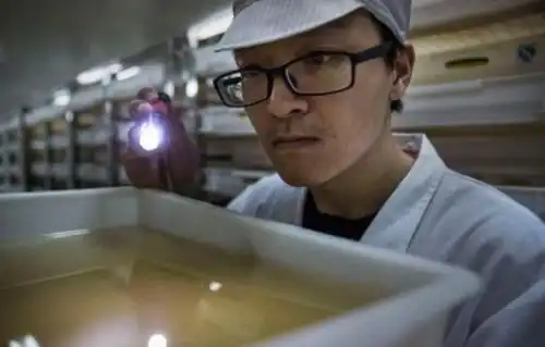 美专家中国新技术或将造福全球,先进得不像中国发明
