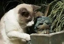 猴哥,这么多年我们一直误会你了
