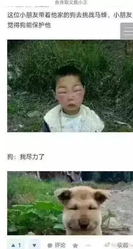 这届网友晒出的搞笑截图,看到第三张,笑到窒息哈哈哈哈哈哈
