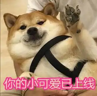 你说我胖试试表情包高清无水印你说我胖试试表情包下载v1.0.1最新版腾牛下载
