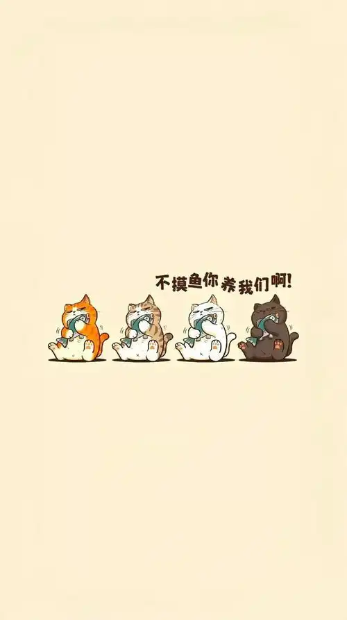 壁纸我不躲不藏,等生活爱我
