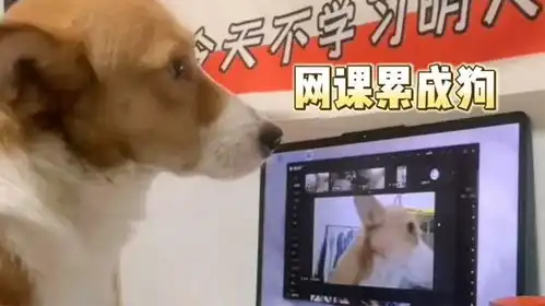 搞笑配音上个网课把自己累成狗了
