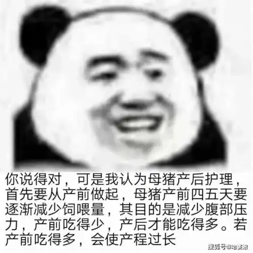 不想回应别人问题时装疯卖傻专用表情包
