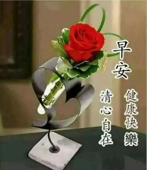 早安祝福精美图片,早上好祝福词语,朋友圈温馨祝愿

