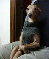 只为逗你开心一笑
