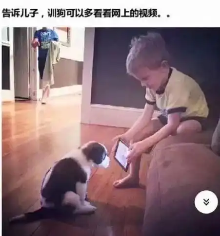 30张搞笑图片,能面无表情看完的都是高人
