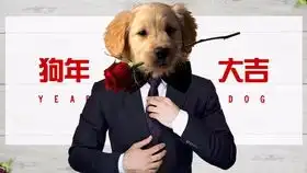 ps设计教程狗头人身之狗年大吉合成二
