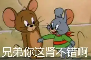 中国人补起肾来,真的什么都敢吃
