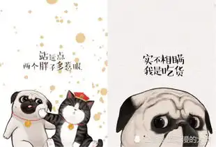 可爱胖子系优选壁纸对我好一点,我和我的小可爱都给你
