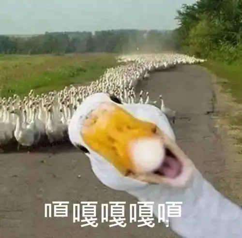 壁纸睡了吗来斗图啊
