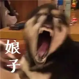 情侣头像丨换上它去朋友圈发糖
