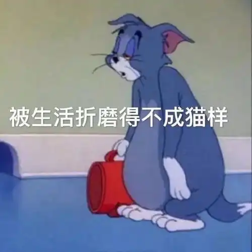 有哪些又惨又好笑的沙雕朋友圈文案
