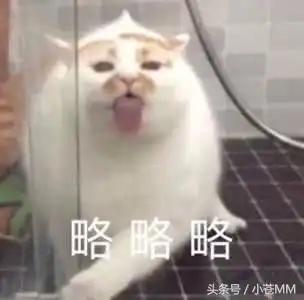 蛇哥直播生娃被封,蛇嫂夸赞蛇哥对她和宝宝照顾有加
