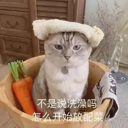 沙雕头像丨表白其实并不是什么好事
