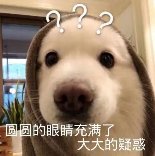 搞笑gif哥,拿一张吧,天热遮下太阳
