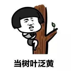 搞笑段子前几天,老婆上网买了一件衣服,特别满意
