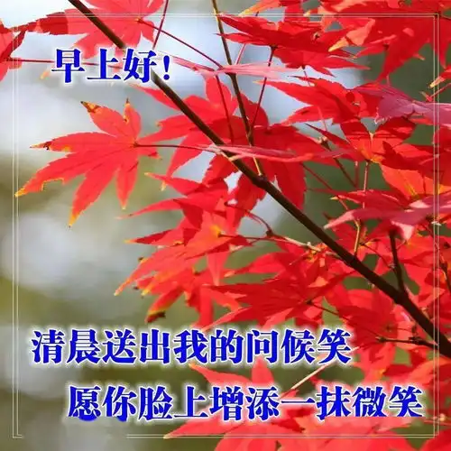 早上问候语图片表情,最温馨的早安祝福语图片
