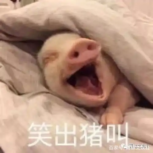 于正这个死丫头,要把邱泽搞凉了呀
