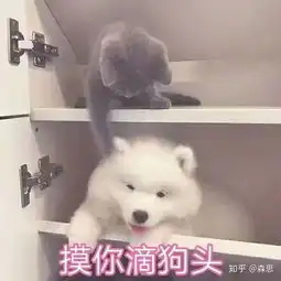 月经期间可以喝红糖姜茶吗

