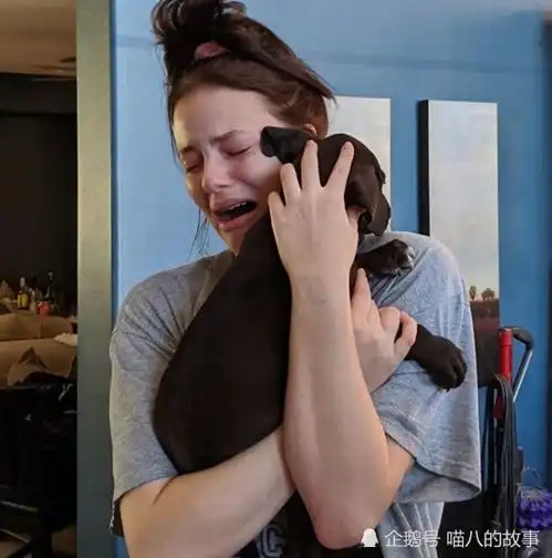 20个搞笑宠物瞬间,最后一个葛优式调皮
