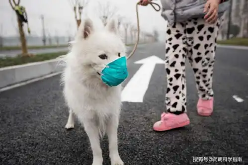 有人不愿在公共场合戴口罩这款口罩枪可以一枪解决问题

