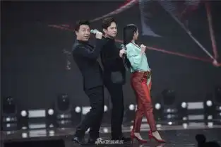 组图2017新浪微博之夜现场黄渤蔡依林何炅爆笑尬舞

