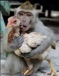 搞笑图片姑娘扒了裤子拍照,有点重口味了
