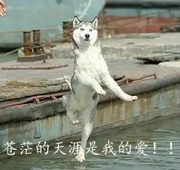 哈士奇表情大全装逼必备,拿走不谢
