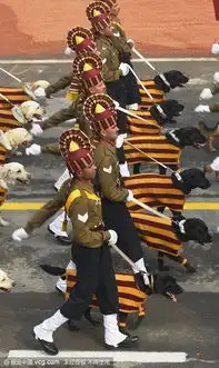 组图永远都那么奇葩印度又搞共和国日阅兵
