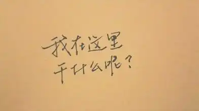 感情和事业可以好梦成真的生肖
