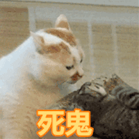 表情包买买买,穷穷穷
