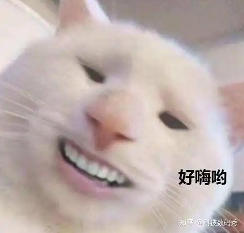 原先办靓号要预存1500元如今可以免费办理888靓号,你愿意吗
