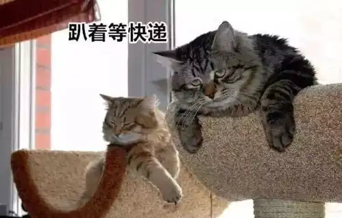 微段子终于知道为什么我的快递还没到了
