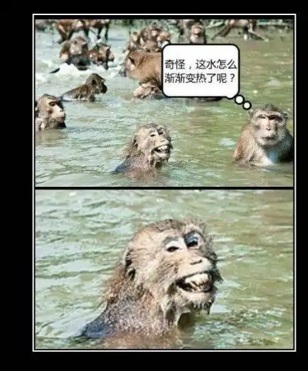 笑话段子搞笑图片算命先生你别跑,我保证不打死你
